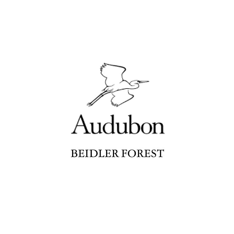 Francis Beidler Forest ● Audubon South Carolina